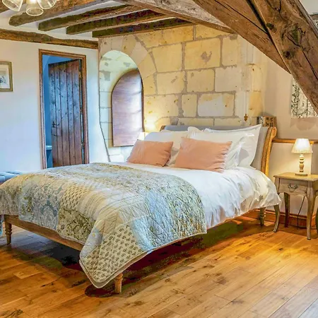 Historic Manor House In The Loire Valley Tatil Evi Blaison-Saint-Sulpice