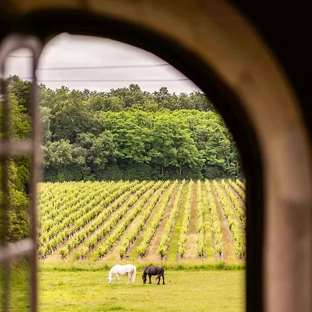 Historic Manor House In The Loire Valley Blaison-Saint-Sulpice