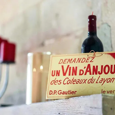 Historic Manor House In The Loire Valley Tatil Evi Blaison-Saint-Sulpice